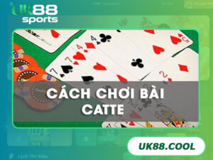 Cách chưng bài Catte